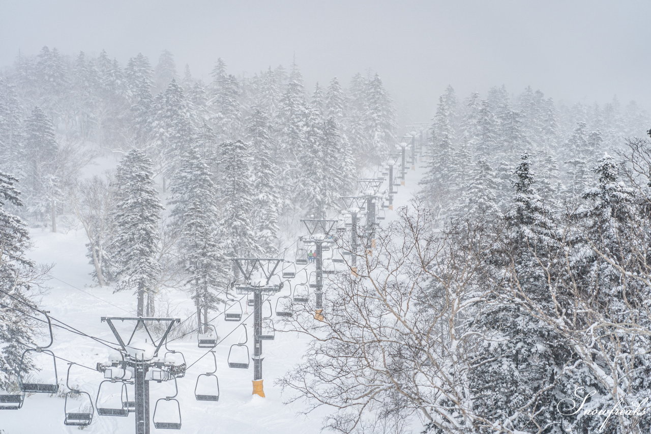 大雪山層雲峡・黒岳ロープウェイスキー場｜極上のふわっふわ粉雪が、たっぷり♪厳冬期を迎えた黒岳のパウダーは、レベルが違います☆